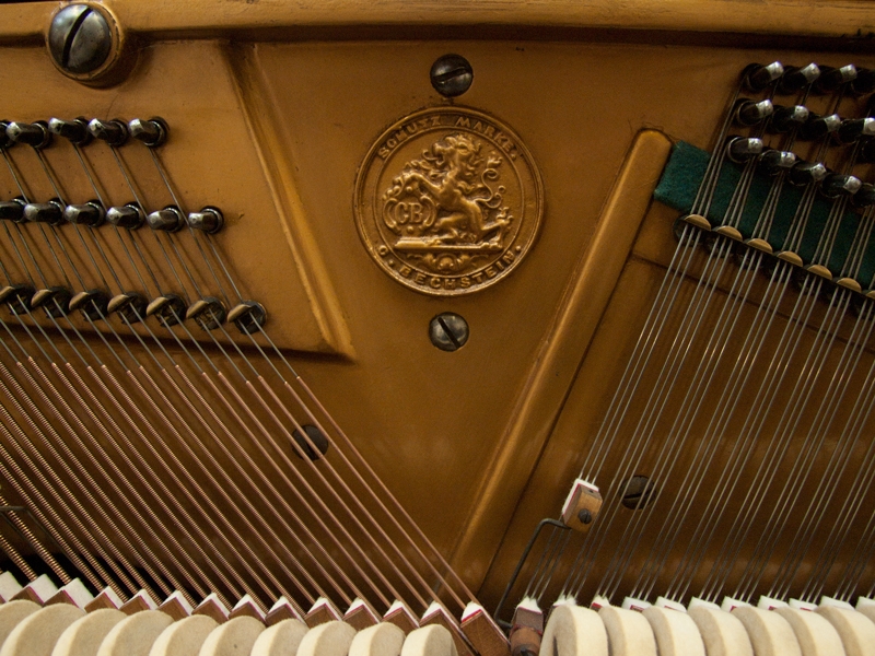 Bechstein III