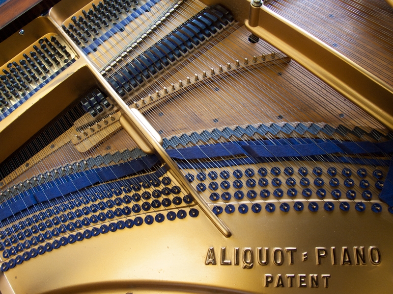 Bluthner VIII   Aliquot