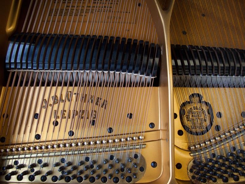 Bluthner VIII Aliquot grand Piano in rosewood – Gallery image – Roberts Pianos Oxford