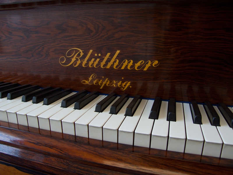 Bluthner VIII   Aliquot