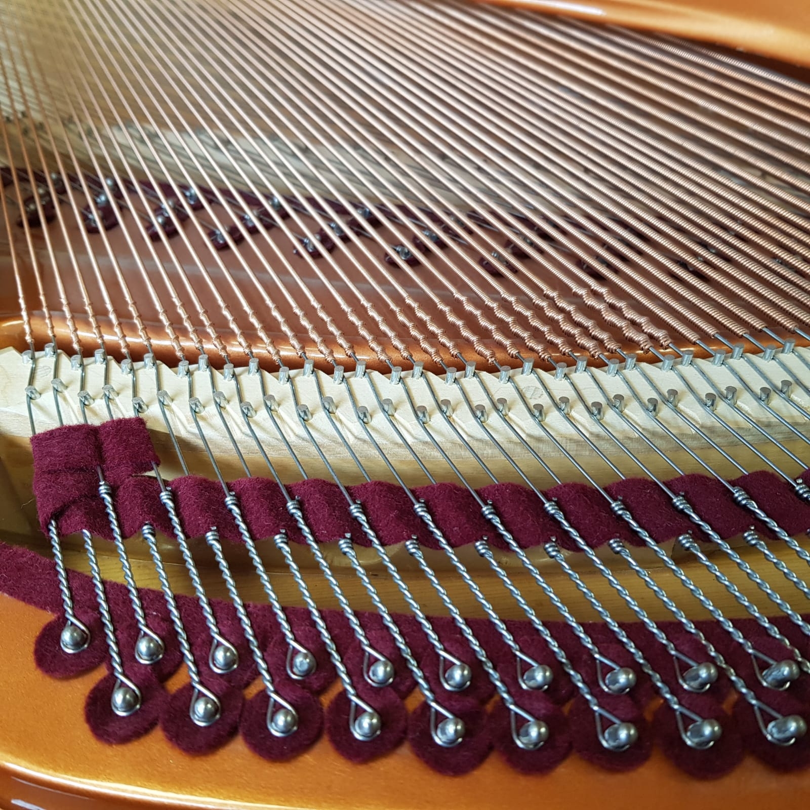 Bosendorfer 170 grand Piano in black – Gallery image – Roberts Pianos Oxford