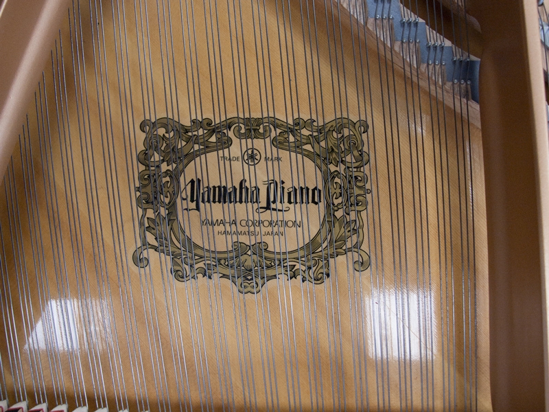 Yamaha C1