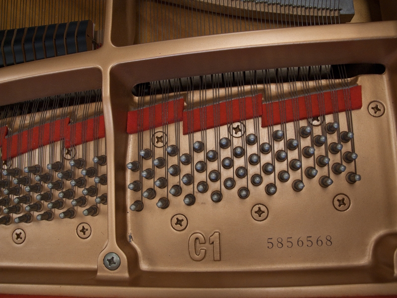 Yamaha C1