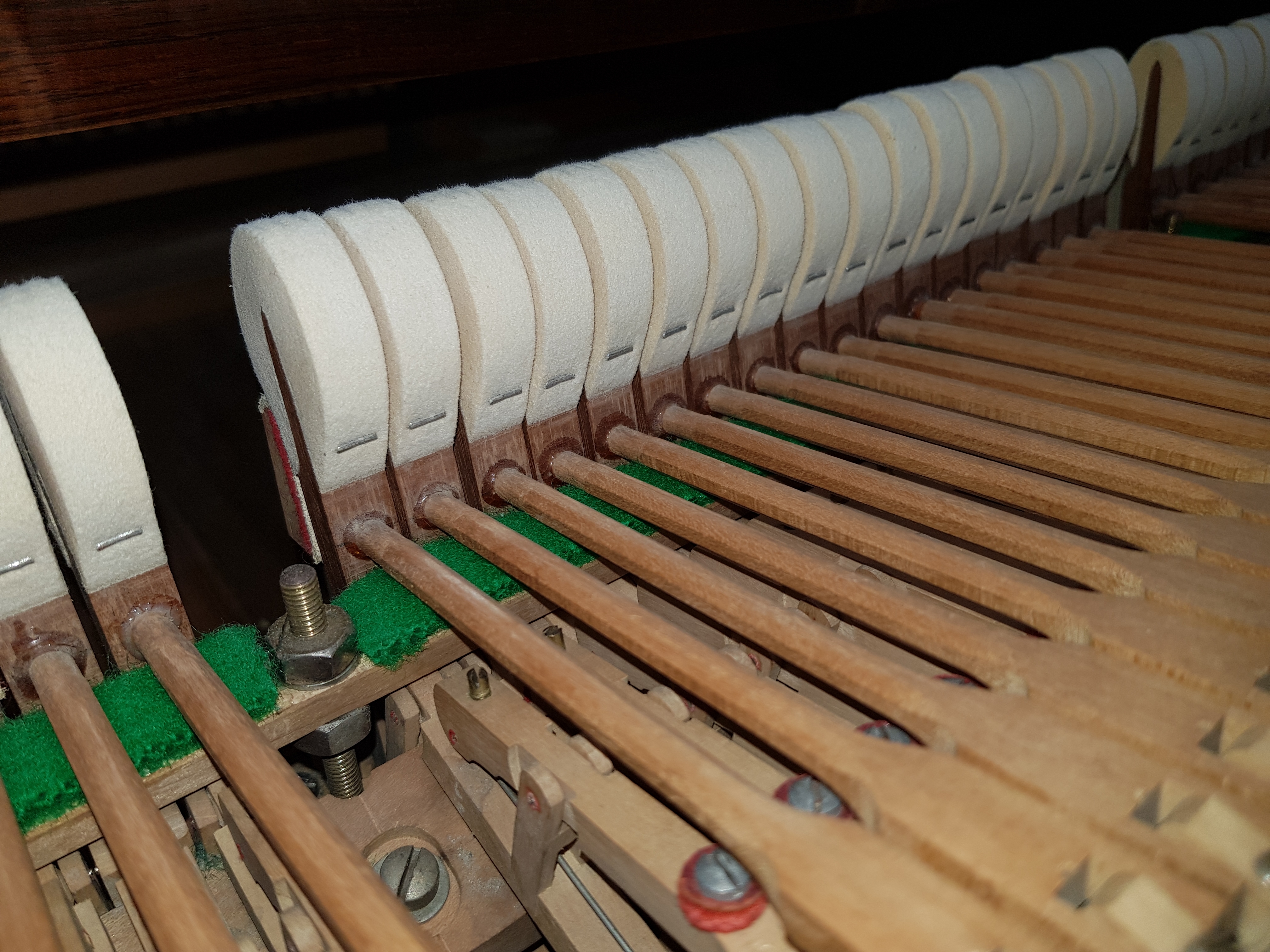 Bechstein V