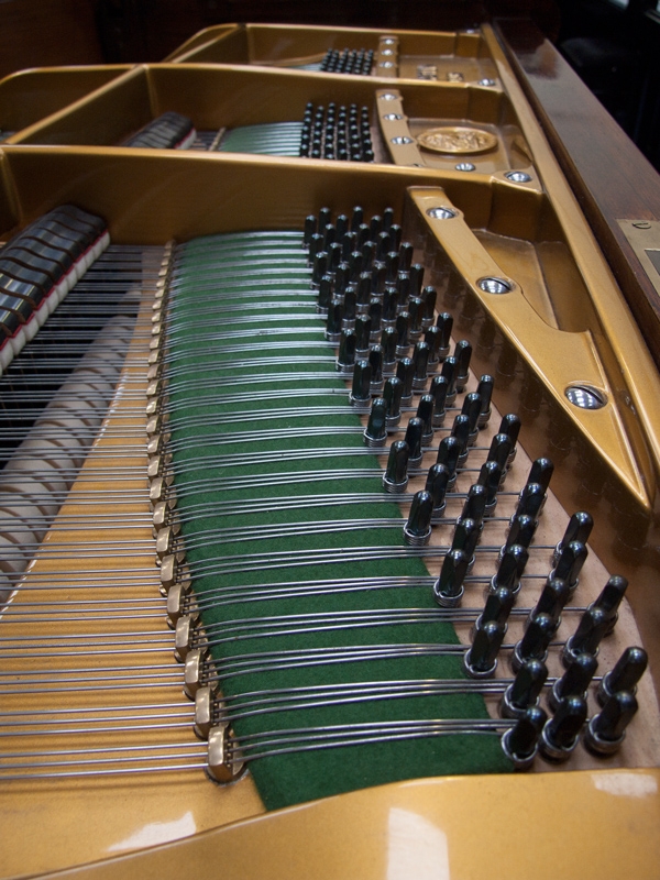 Bechstein V