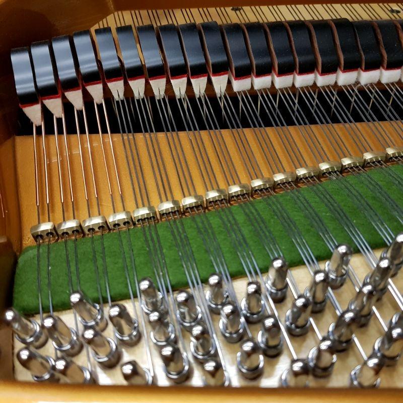Bechstein S baby grand Piano in bright-black – Gallery image – Roberts Pianos Oxford