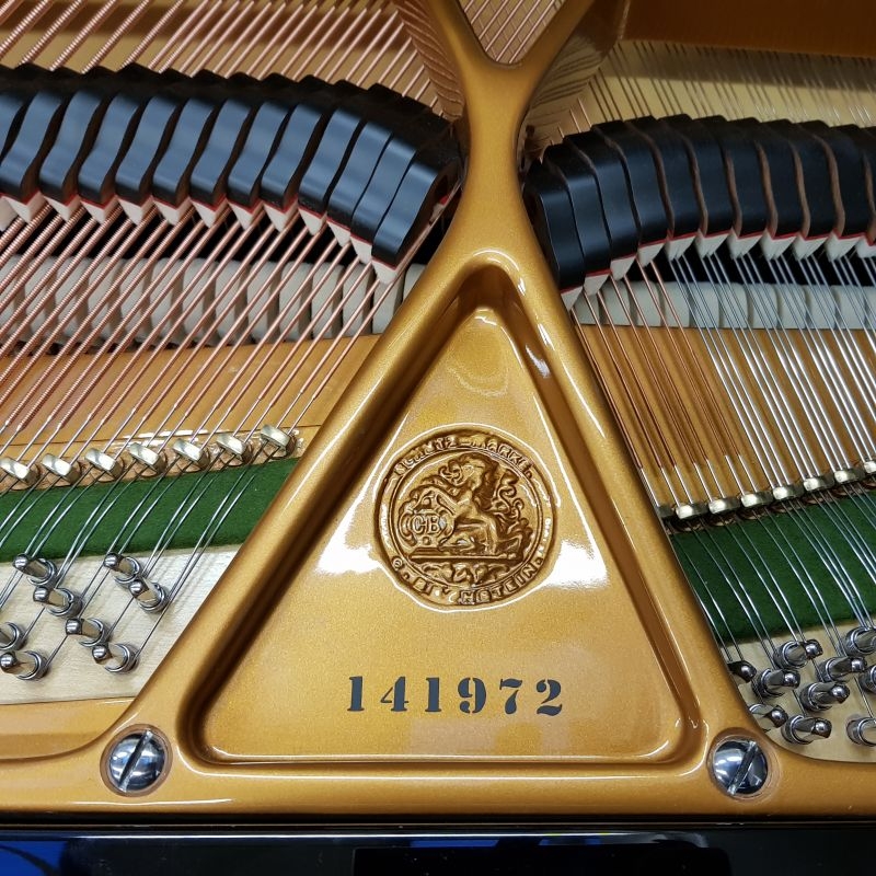 Bechstein S baby