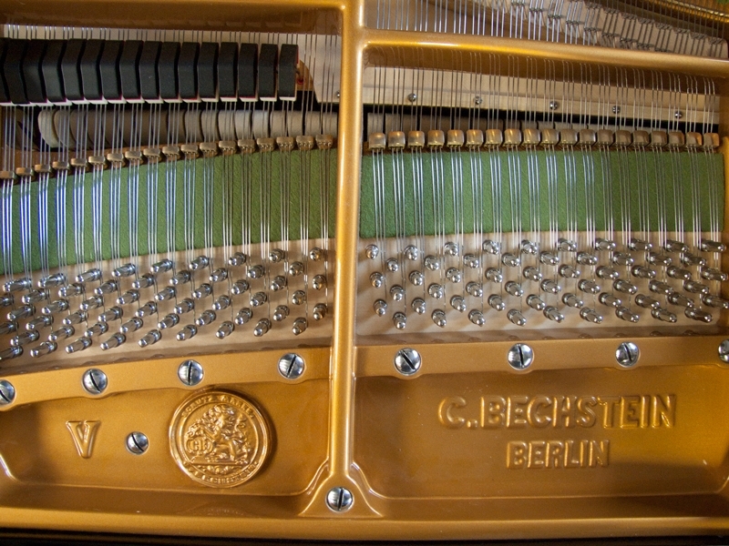 Bechstein V (5)