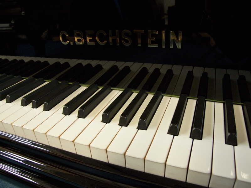 Bechstein V (5)