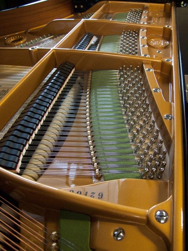 Bechstein V (5) grand Piano in bright black – Gallery image – Roberts Pianos Oxford