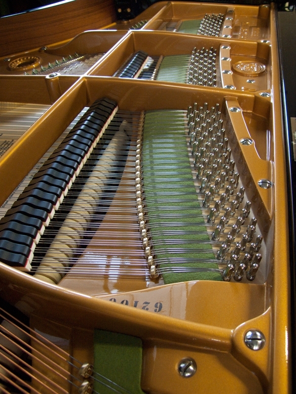 Bechstein B