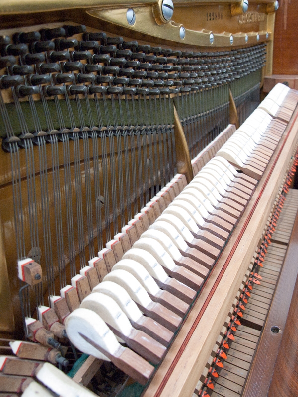 Bechstein 9