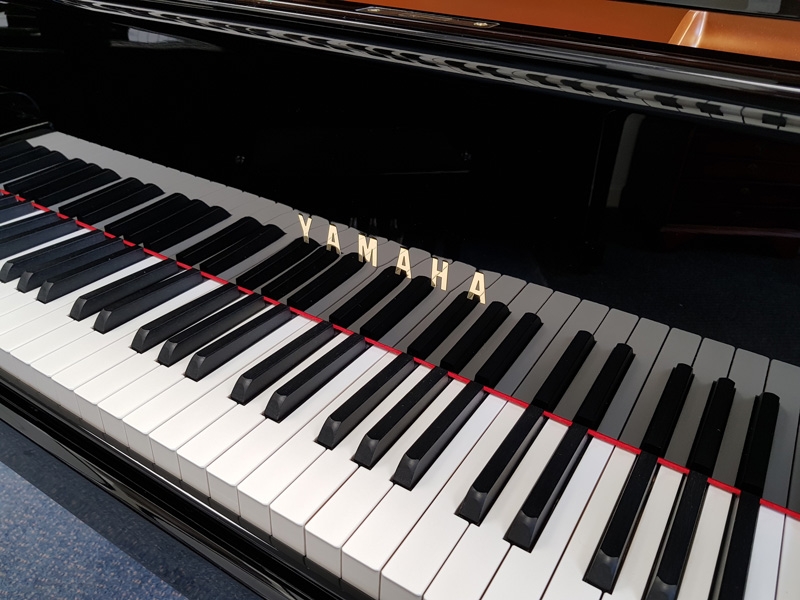 Yamaha S6