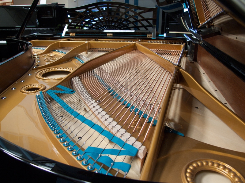 Bechstein V/B