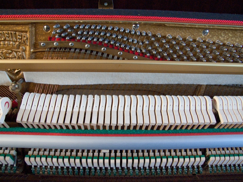 Seiler 116