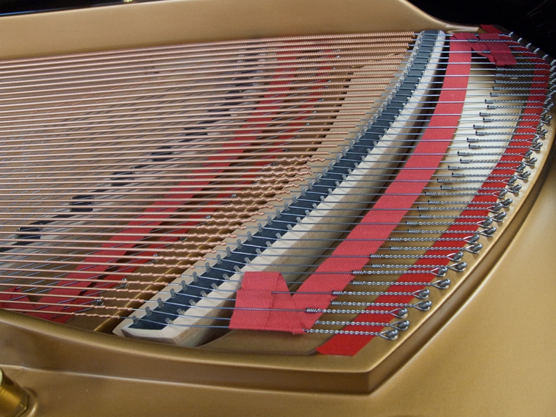 Steinway M