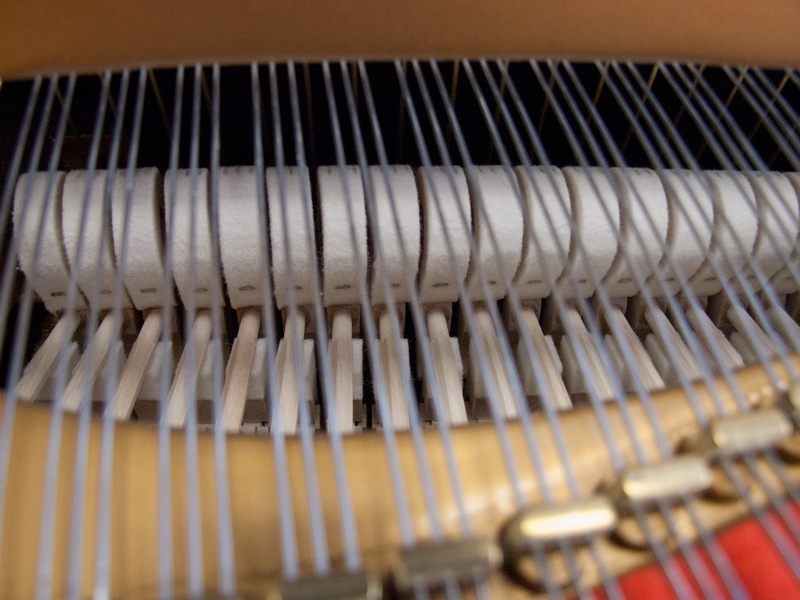 Steinway M