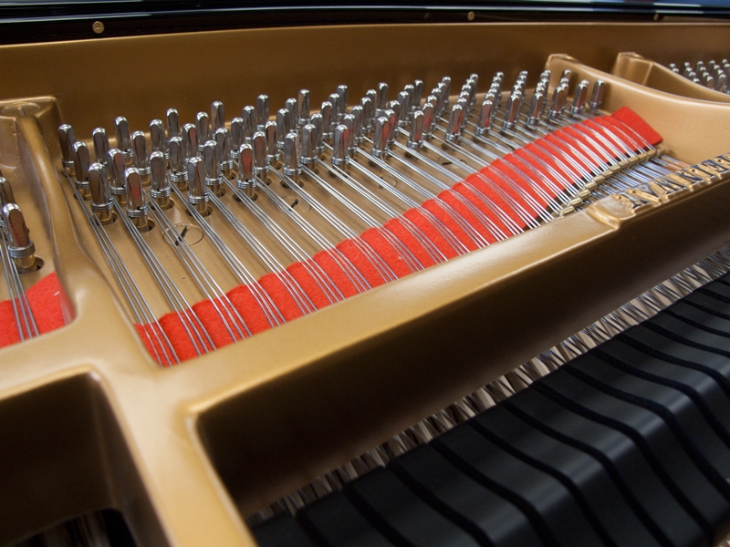 Steinway M