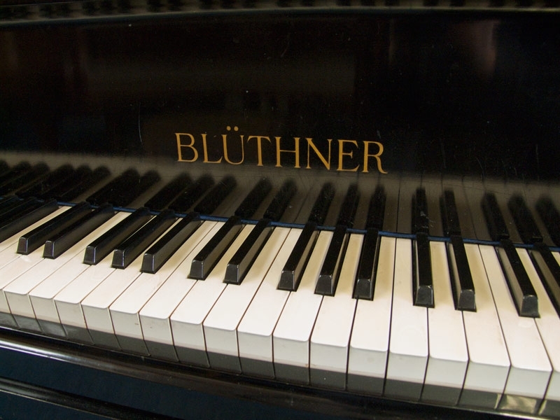 Bluthner IV