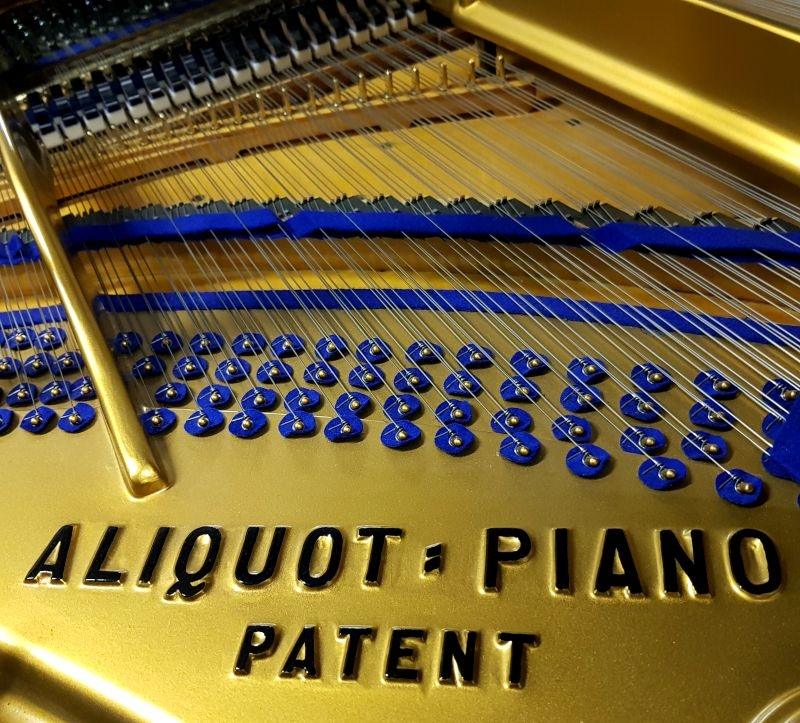 Bluthner Style 9 grand Piano in rosewood – Gallery image – Roberts Pianos Oxford