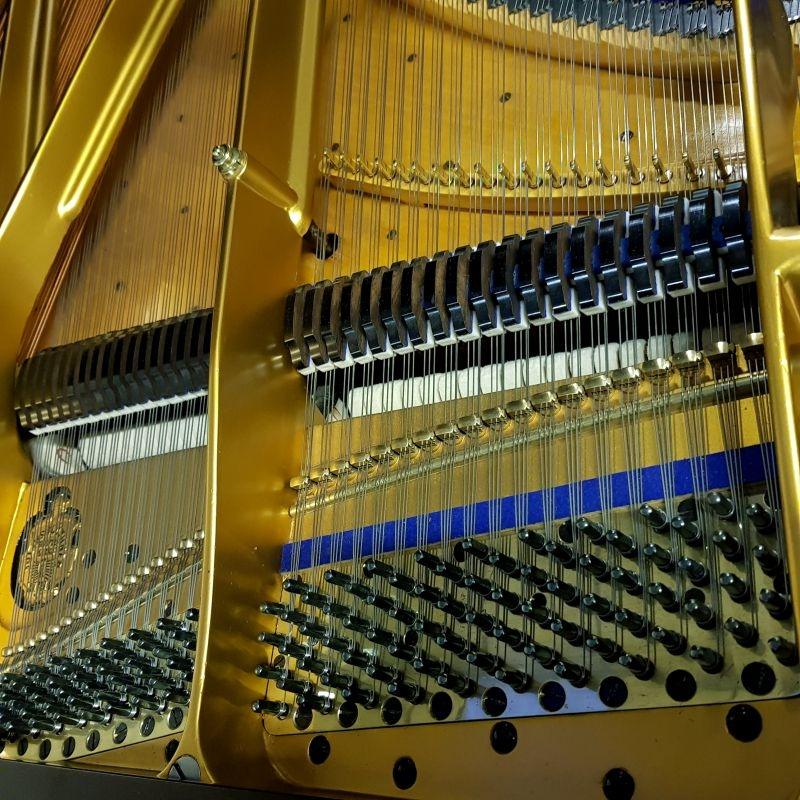 Bluthner Style 9 grand Piano in rosewood – Gallery image – Roberts Pianos Oxford
