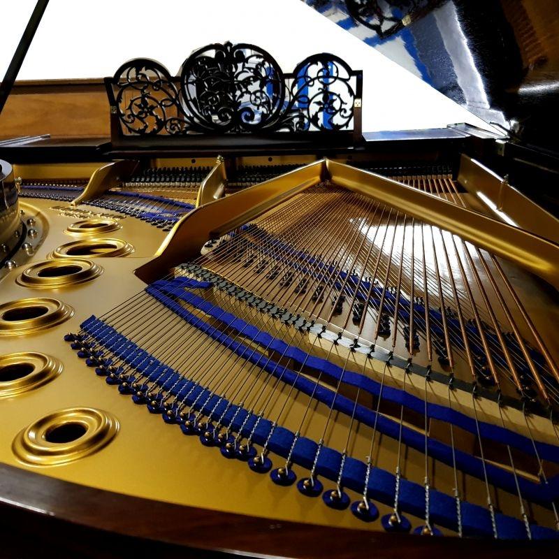 Bluthner Style 9 grand Piano in rosewood – Gallery image – Roberts Pianos Oxford