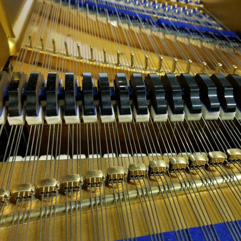 Bluthner Style 9 grand Piano in rosewood – Gallery image – Roberts Pianos Oxford