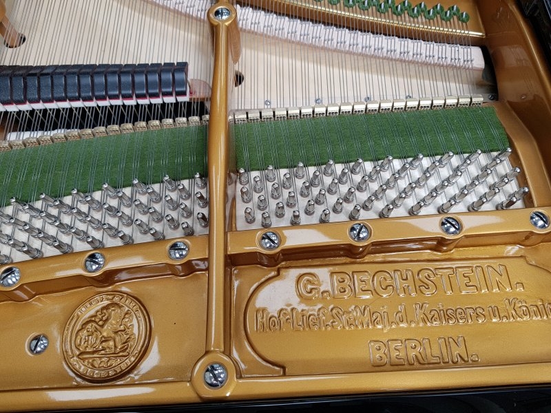 Bechstein V (5)