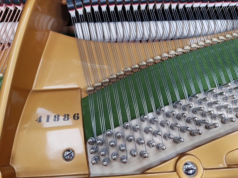 Bechstein V (5)