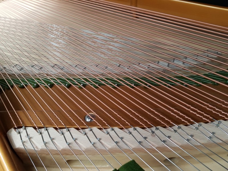 Bechstein V (5)