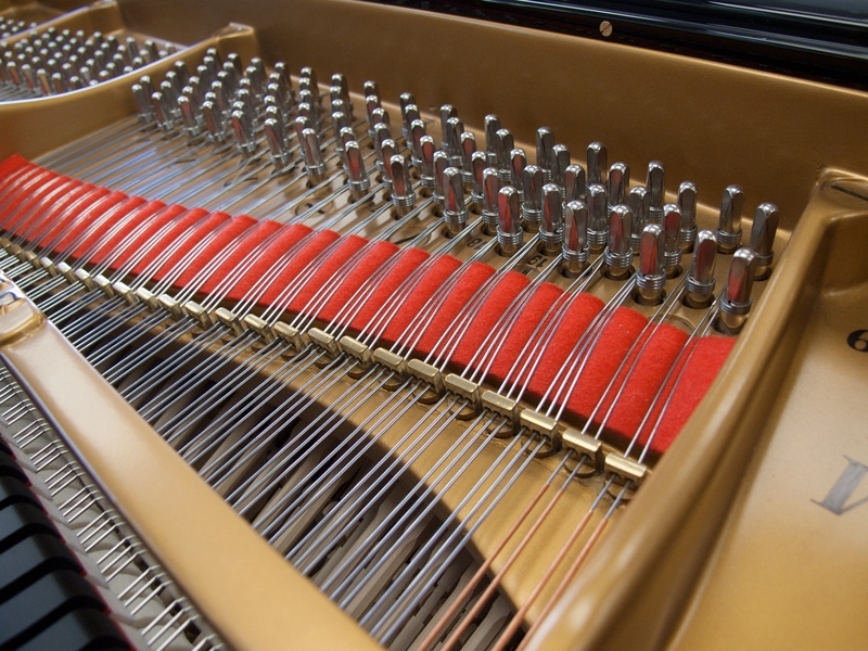Steinway M