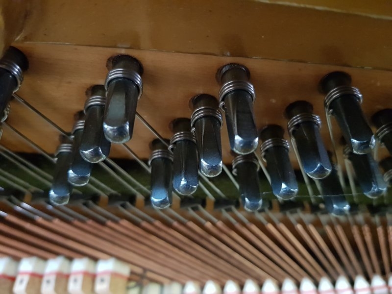 Bechstein 9