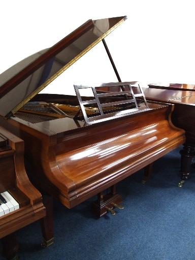 Bluthner V (5)