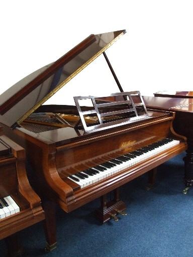 Bluthner V (5) grand Piano in rosewood – Featured image – Roberts Pianos Oxford