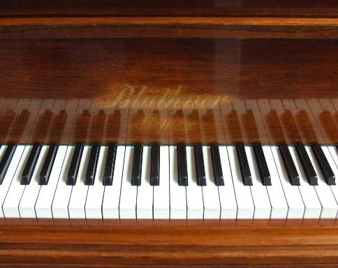 Bluthner V (5) grand Piano in rosewood – Gallery image – Roberts Pianos Oxford