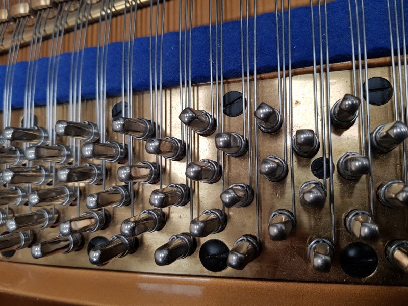 Bluthner IV