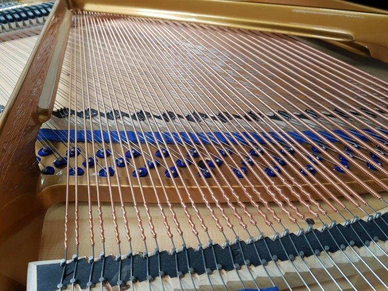 Bluthner IV grand Piano in Black – Gallery image – Roberts Pianos Oxford