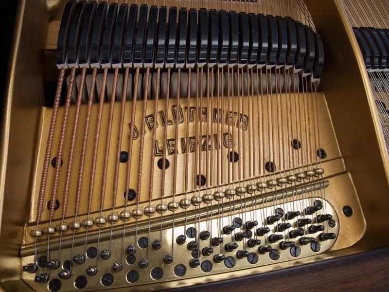 Bluthner Style VII grand Piano in rosewood – Gallery image – Roberts Pianos Oxford