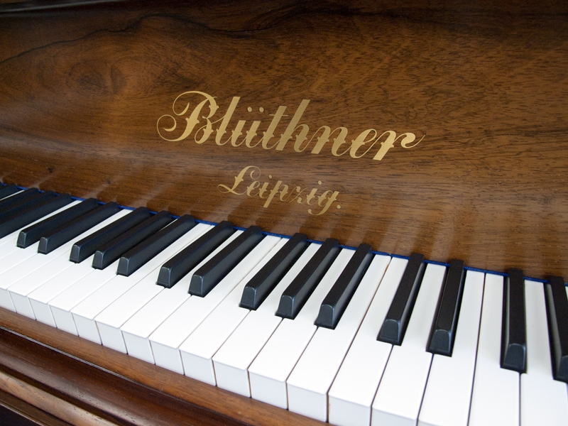 Bluthner Style VII