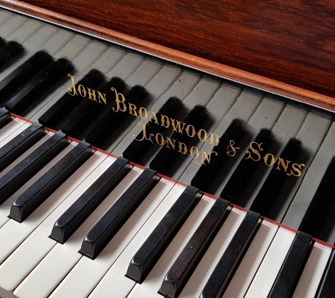 Broadwood Barless grand Piano in rosewood – Gallery image – Roberts Pianos Oxford