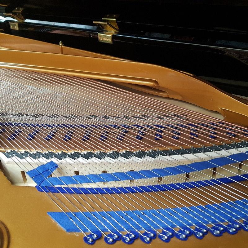 Bluthner 230 style 10 grand Piano in black polyester – Gallery image – Roberts Pianos Oxford