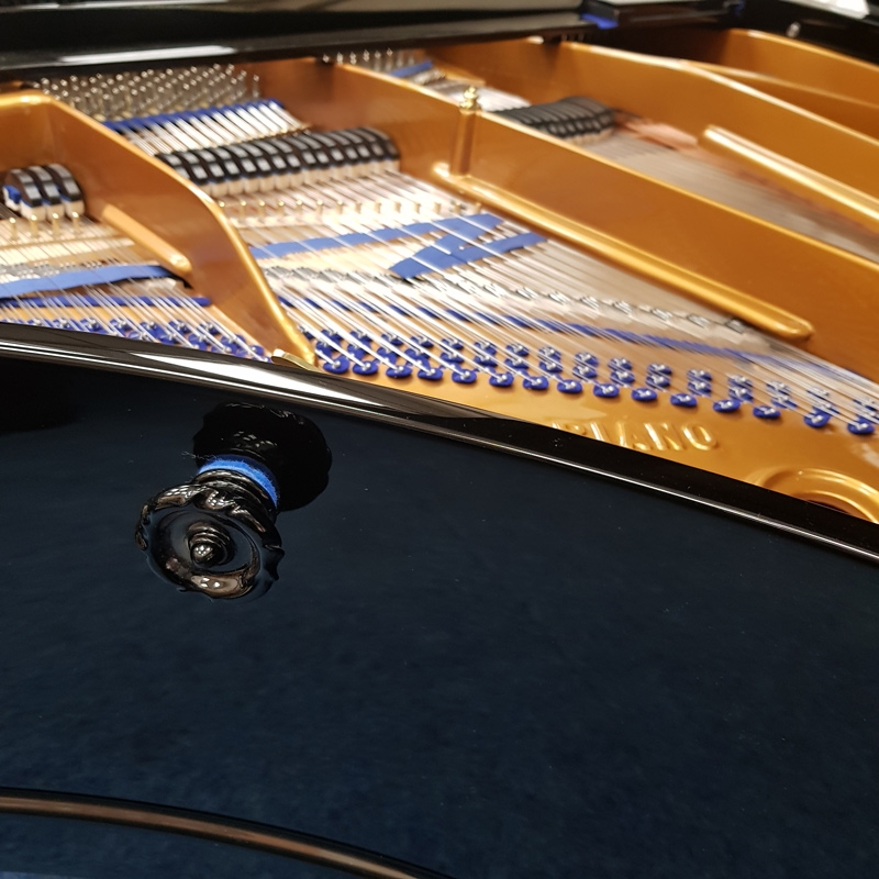 Bluthner 230 style 10 grand Piano in black polyester – Gallery image – Roberts Pianos Oxford