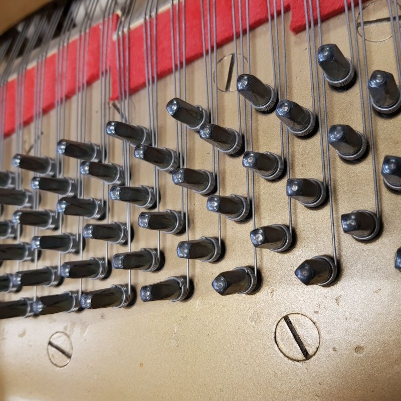 Steinway O
