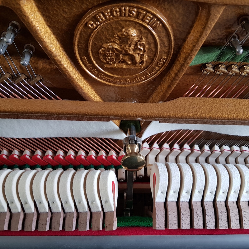 Bechstein Millennium 116