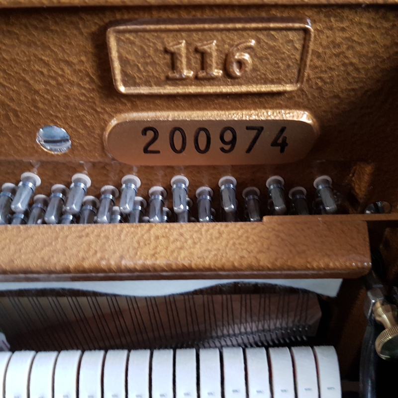 Bechstein Millennium 116