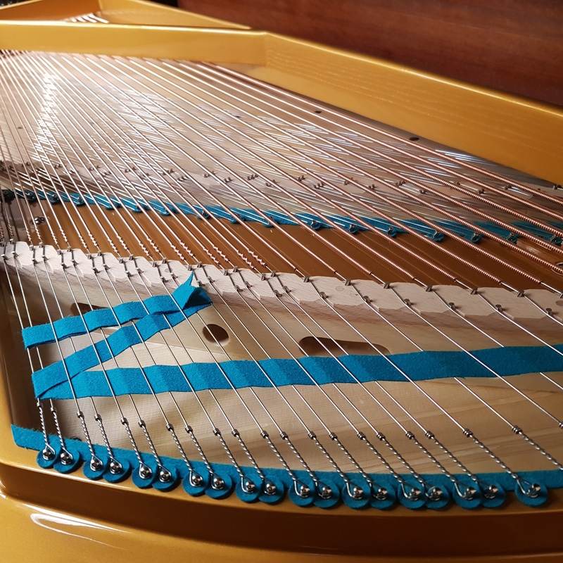 Bechstein C