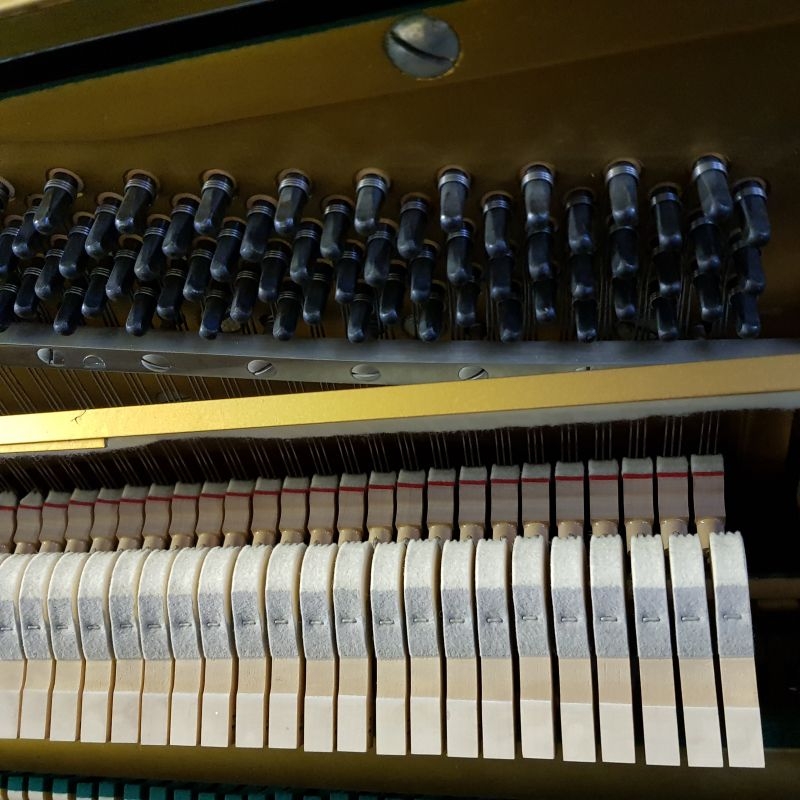 Yamaha U1D