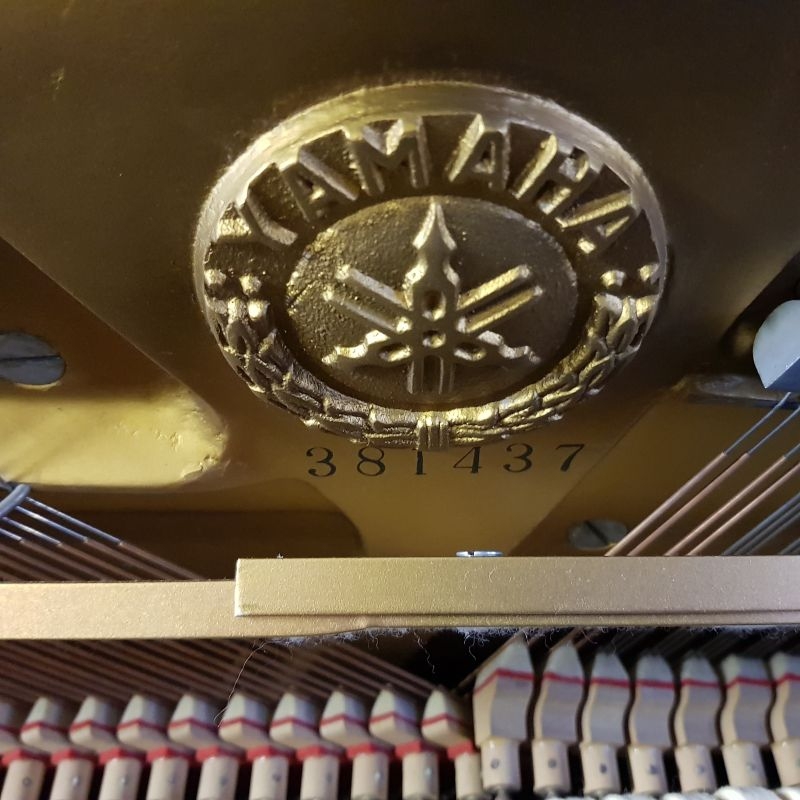 Yamaha U1D
