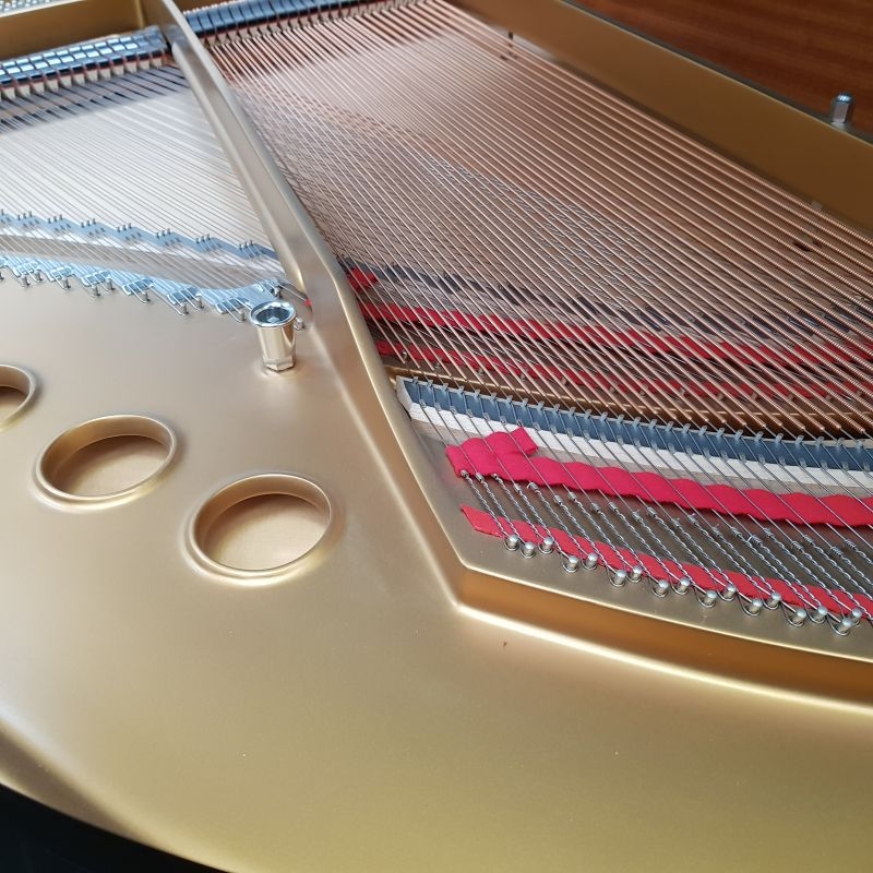 Steinway M