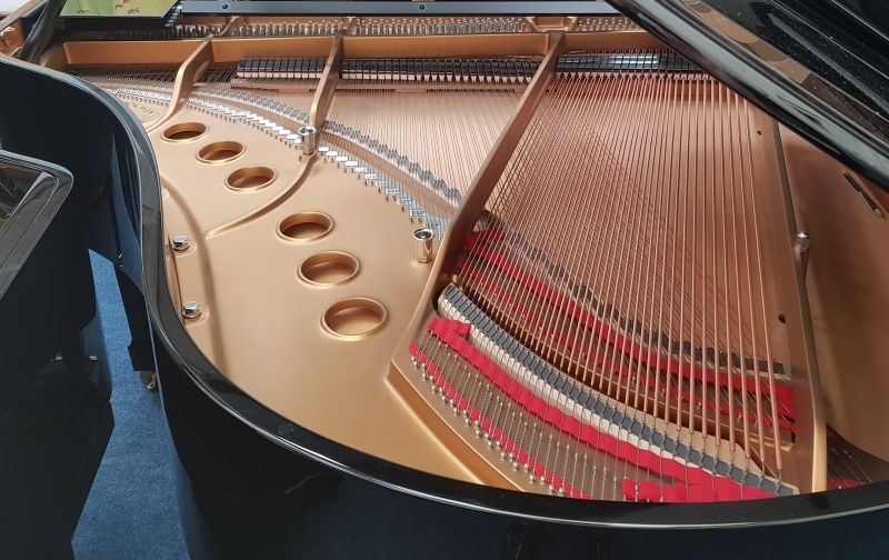 Steinway M